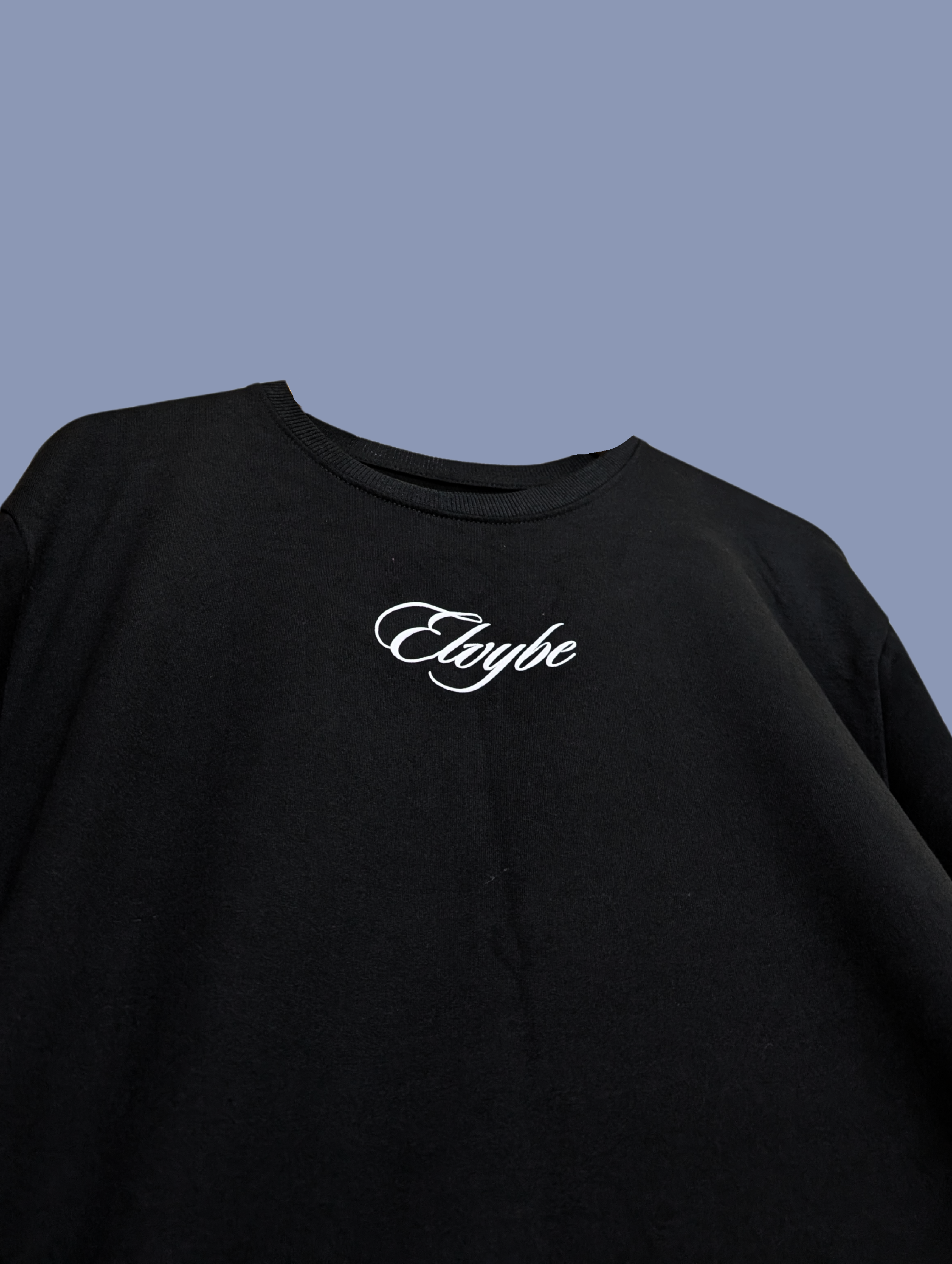 FAVORITE DAY OVERSIZE T SHIRT ELVYBE
