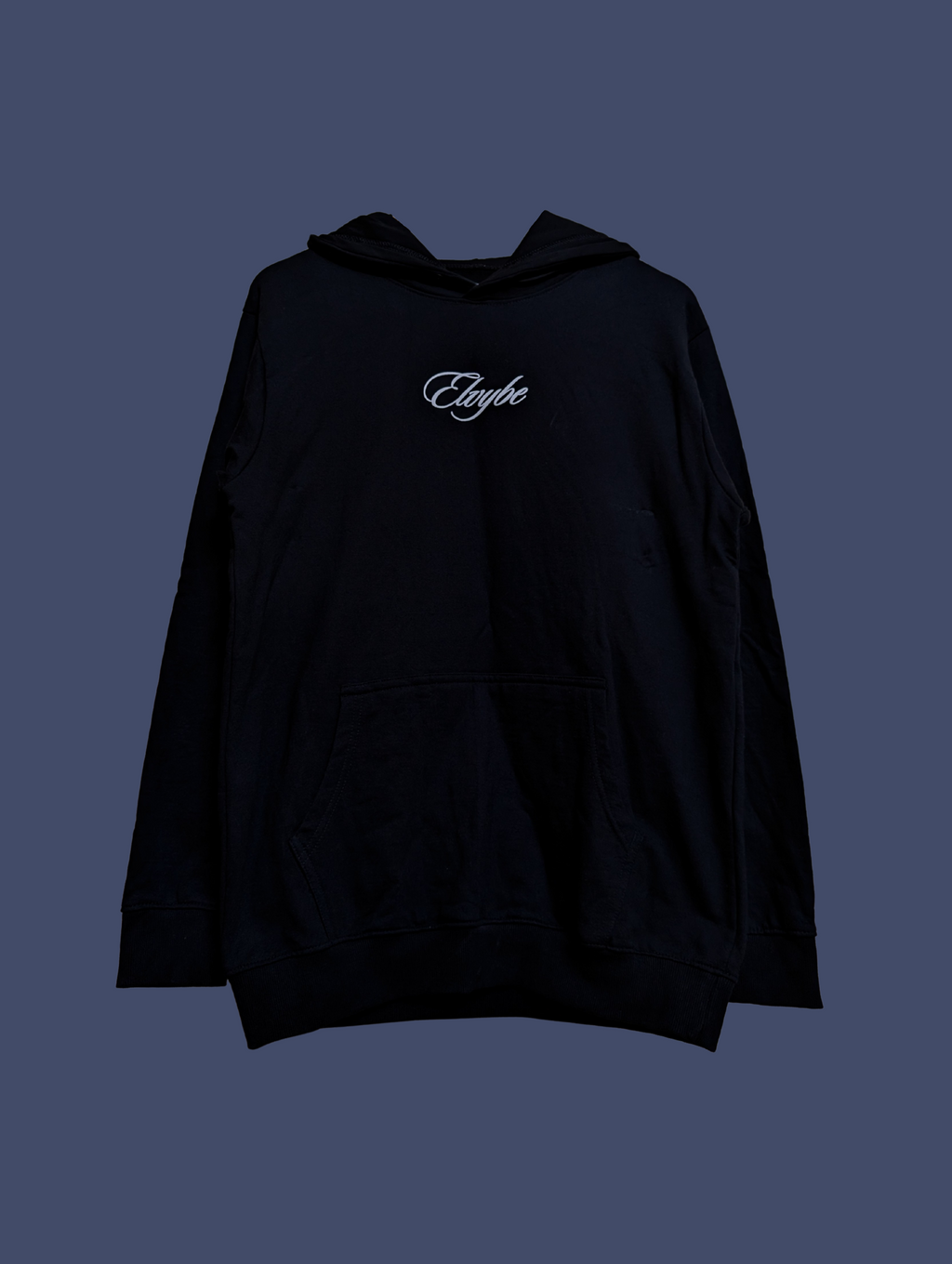 FAVORITE DAY OVERSIZE HOODIE ELVYBE