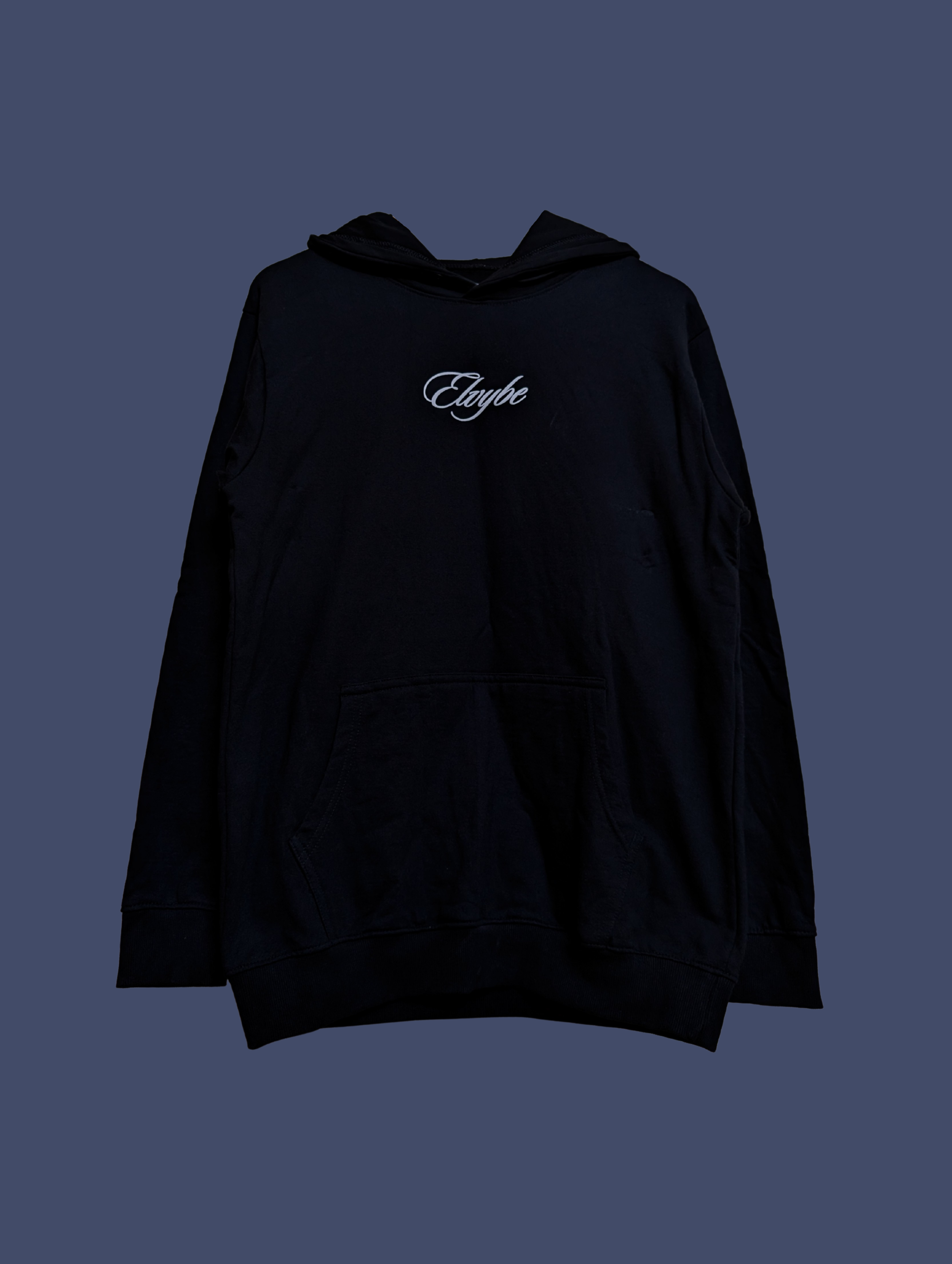 FAVORITE DAY OVERSIZE HOODIE ELVYBE