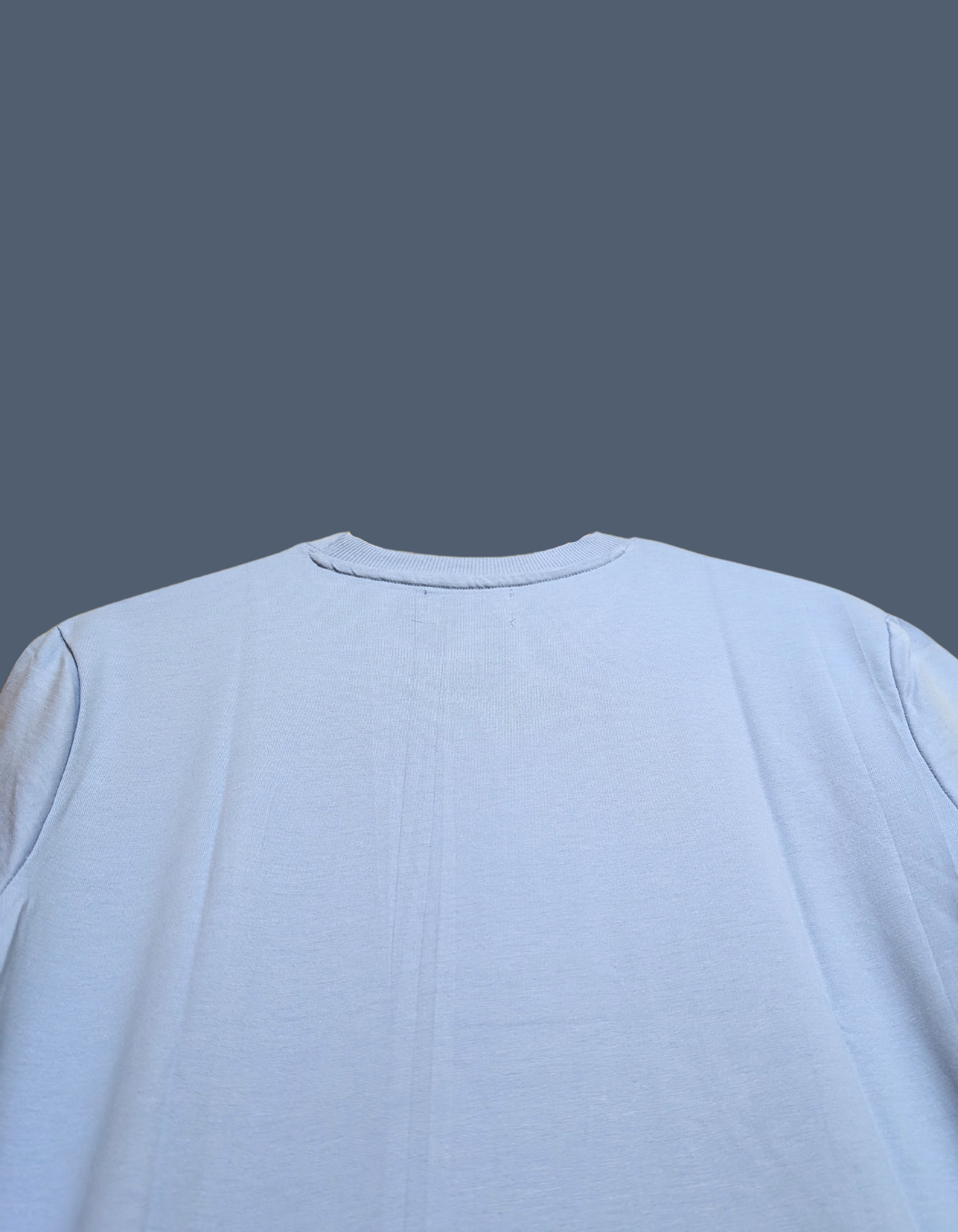 BLUE REGULAR T SHIRT ELVYBE